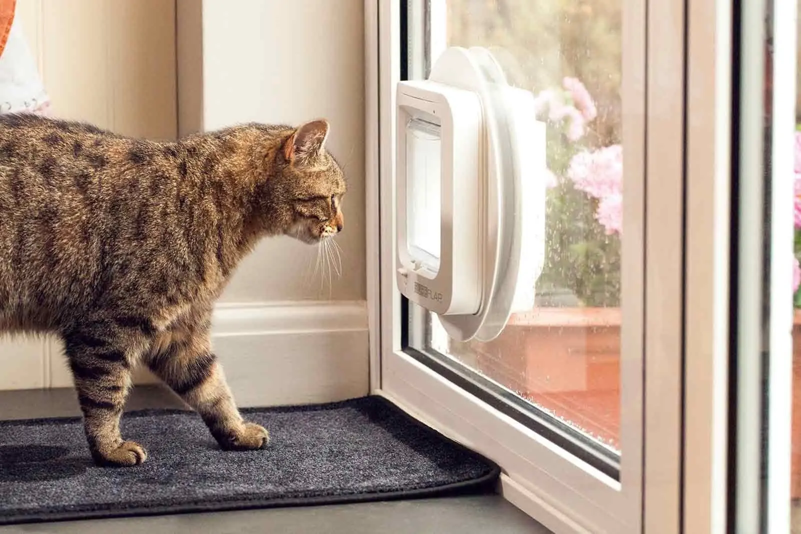 A professionally installed cat flap in a glass door, allowing a cat to enter and exit freely.